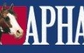 APHA-Moderförening USA